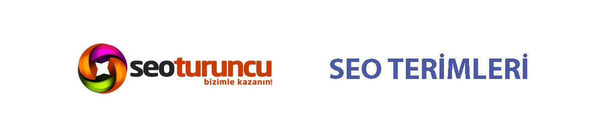 SEO Terimleri 2 seo terimleri
