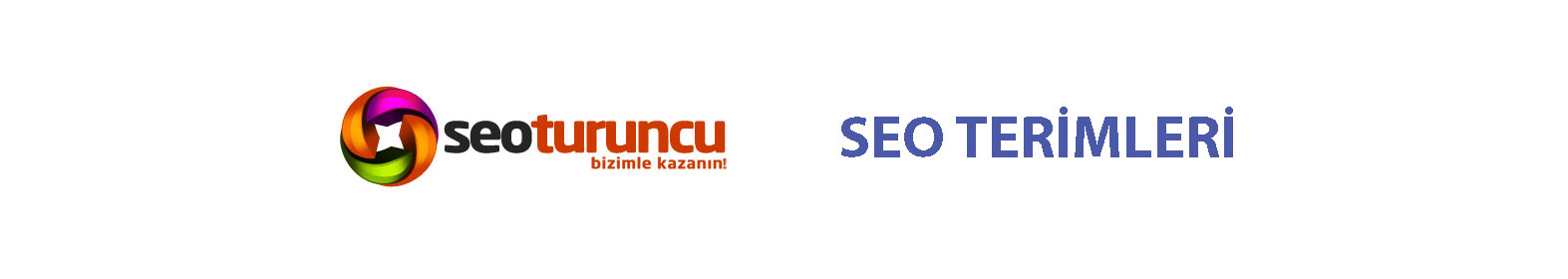 seo terimleri